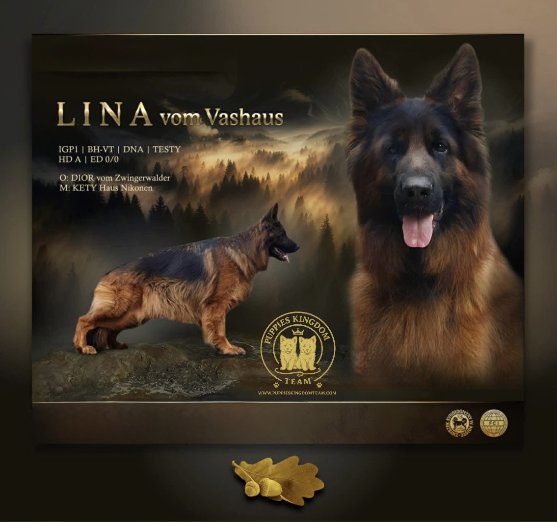 Lina Vom Vashaus