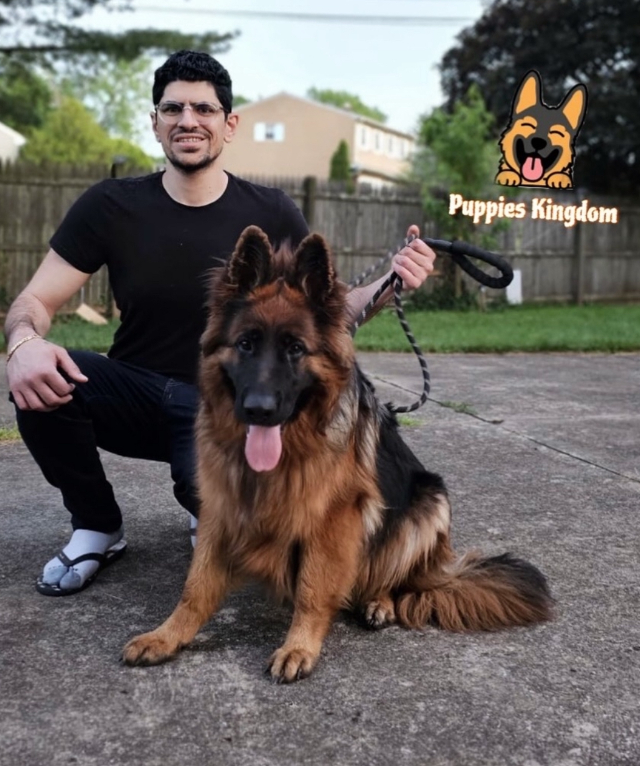 Puffy Puppies Kingdom Team